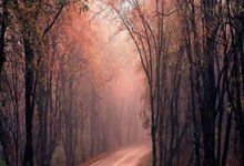 20-21賽季意甲聯賽第33輪比賽集錦.