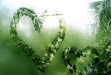 羅伊斯前往洛杉磯接受體檢並簽約洛杉磯銀河兩年.